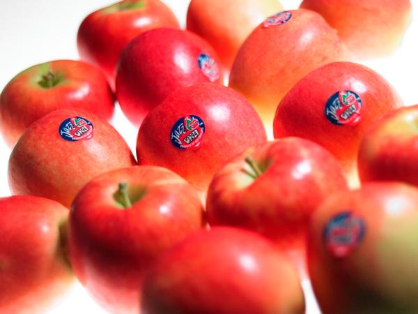 JAZZ apples could be the ultimate brain food